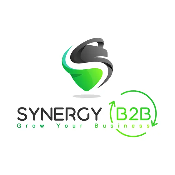 Synergy B2B